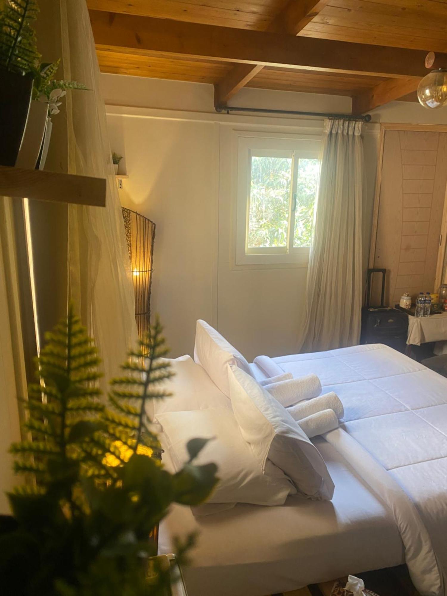 Airport Rooftop Club Luxurious Rooms And Studios Кайро Екстериор снимка